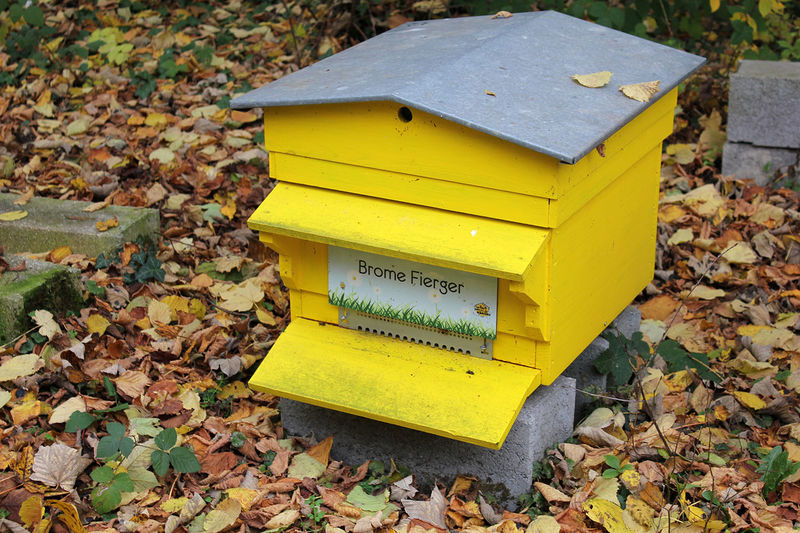 La ruche Brome Fierger